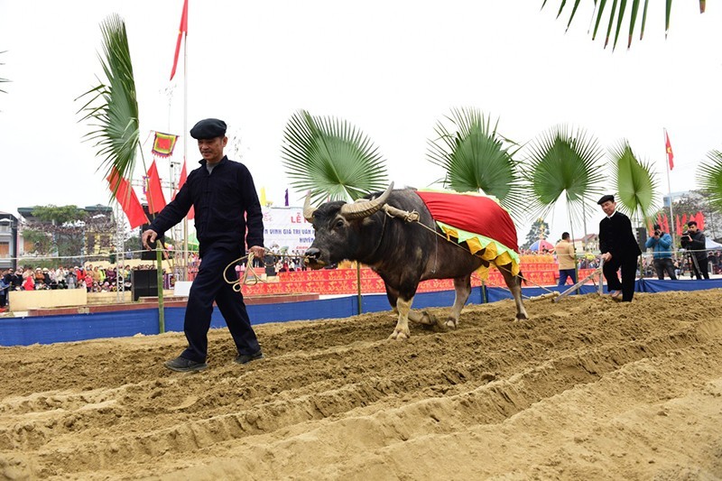 En el festival en Tuyen Quang. (Fotografía: Nhan Dan)