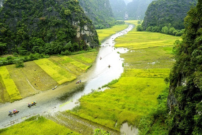 En Ninh Binh. (Fotografía: thoidai.com.vn)