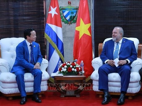 El primer ministro de Cuba, Manuel Marrero Cruz (derecha), intercambia con el vicepremier de Vietnam Tran Hong Ha. (Fotografía: VNA)