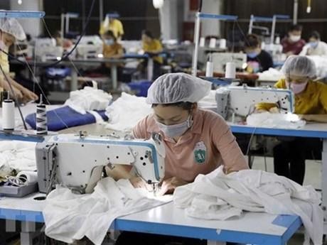 Producción de prendas de vestir para las exportaciones. (Fotografía: VNA)