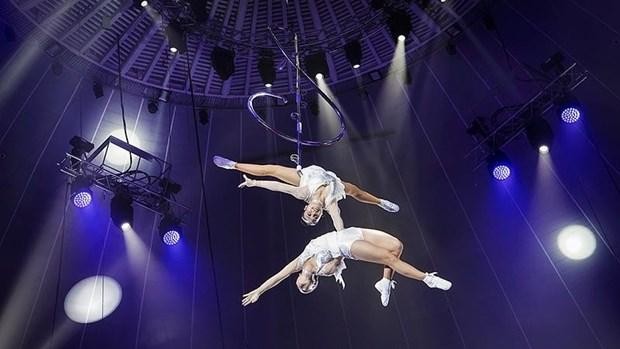 El espectáculo "Du Son" de Vietnam gana el premio de oro en el Festival Princesa del Circo en Rusia. (Fotografía: Federación de Circo de Vietnam)