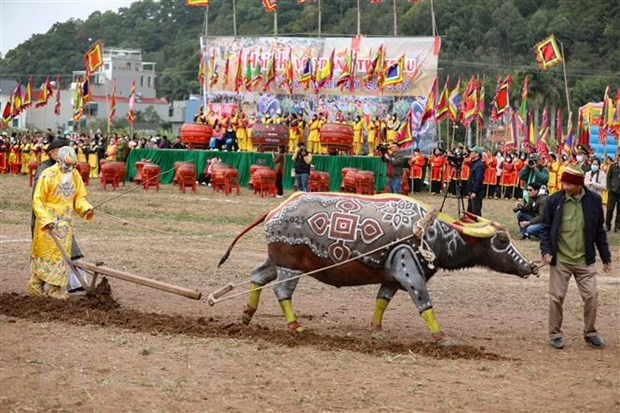 Los residentes locales representan al rey Le Dai Hanh arando un campo de arroz en el festival. (Fotografía: VNA)