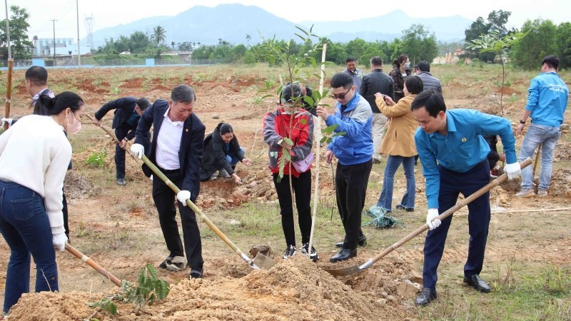 Da Nang contribuye a la protección del medio ambiente con mil árboles.