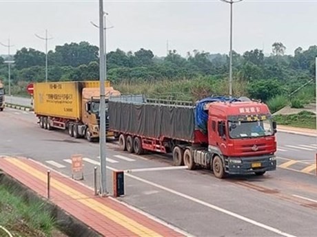 Vehículos que transportan mercancías a través de la puerta fronteriza internacional de Mong Cai. (Fotografía: VNA)
