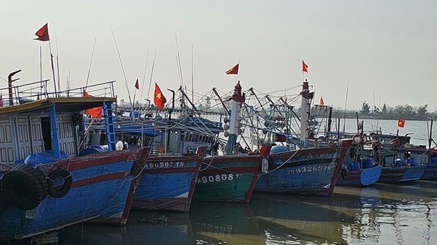 Los barcos pesqueros en la ciudad de Sam Son en la provincia de Thanh Hoa (Foto: nhandan.vn)