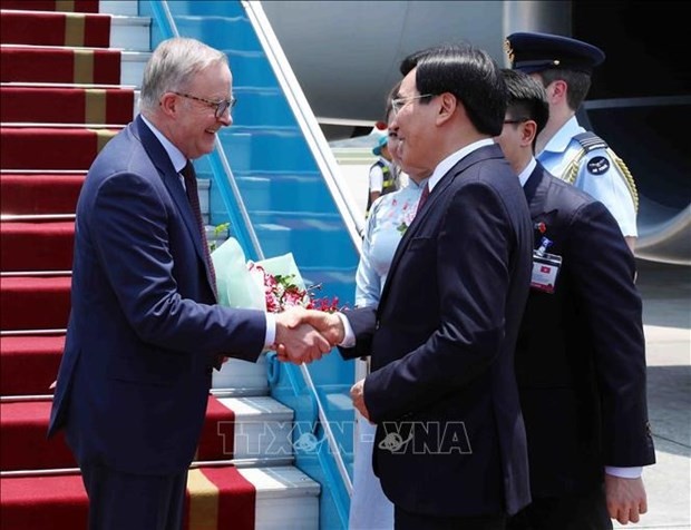 El primer ministro de Australia, Anthony Albanese, fue recibido en el aeropuerto internacional de Noi Bai por el ministro, jefe de la Oficina del Gobierno vietnamita, Tran Van Son (Foto: VNA)
