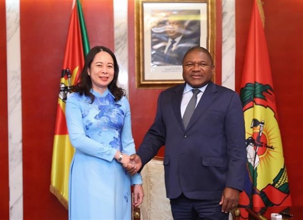 La vicepresidenta Vo Thi Anh Xuan se reúne con el presidente de Mozambique, Filipe Nyusi. (Foto: VNA)