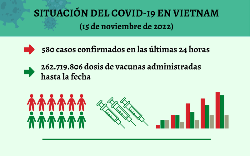 Infografía: Actualización sobre la situación del Covid-19 en Vietnam - 15 de noviembre de 2022