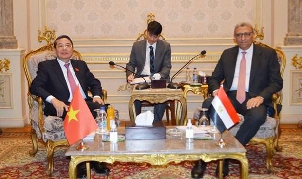 El vicepresidente de la ANV Nguyen Duc Hai y Ahmed Saad El-Din Mohamed Abd El-Rehim, primer vicepresidente de la Cámara de Representantes de Egipto. (Fotografía: VNA)