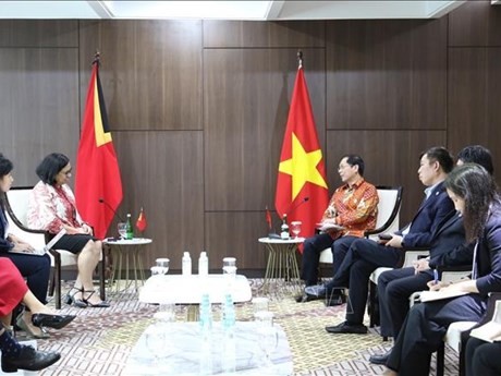 El canciller vietnamita, Bui Thanh Son (D), se reúne con la ministra timorense de Asuntos Exteriores y Cooperación, Adaljiza Albertina Xavier Reis Magno. (Fotografía: VNA)
