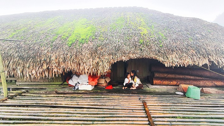 Un pueblo tranquilo bajo techos de musgo en Ha Giang
