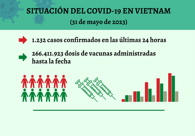 Infografía: Actualización sobre la situación del Covid-19 en Vietnam - 31 de mayo de 2023