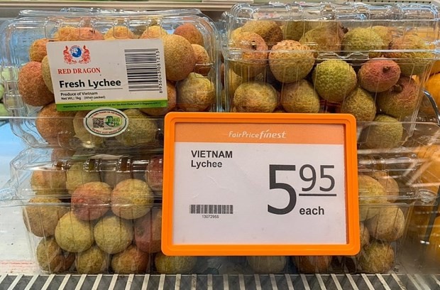 Lichi vietnamita en Singapur (Fotografía: VNA)