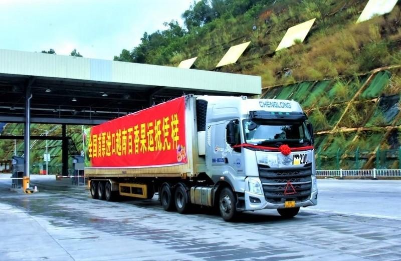 El primer lote de maracuyá vietnamita fue exportado a China. (Foto: chinanews.com)
