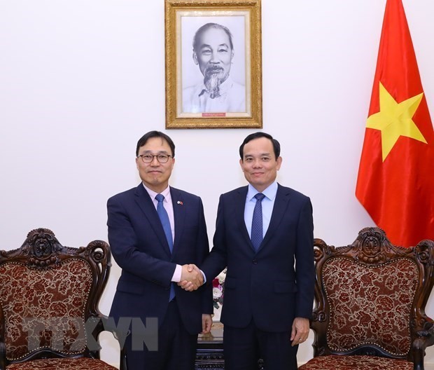 El viceprimer ministro Tran Luu Quang recibe al embajador surcoreano Choi Youngsam. (Foto: VNA)