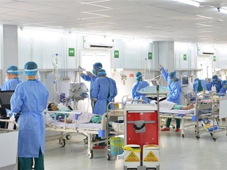 Un panorama del simulacro sanitario (Fotografía: VNA)