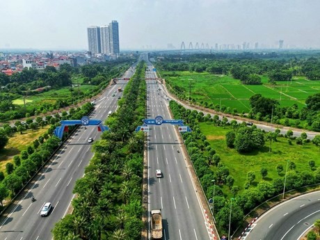 Hanói refuerza cobertura de árboles en carreteras urbanas