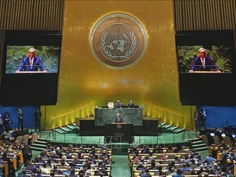 En la sesión de la Asamblea General de la ONU. (Foto: VNA)