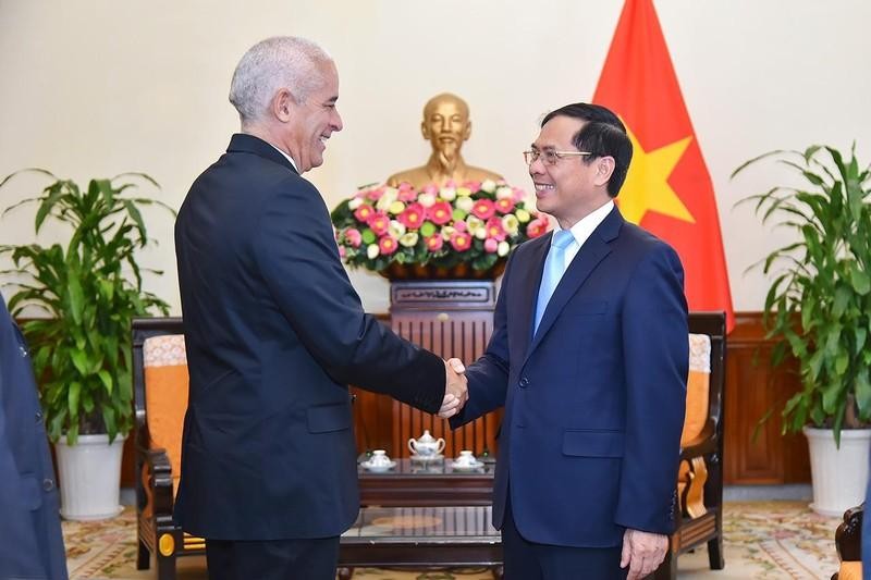 El ministro de Relaciones Exteriores de Vietnam, Bui Thanh Son, y el viceministro primero de Relaciones Exteriores de Cuba, Gerardo Peñalver Portal. (Fotografía: Cancillería de Vietnam)