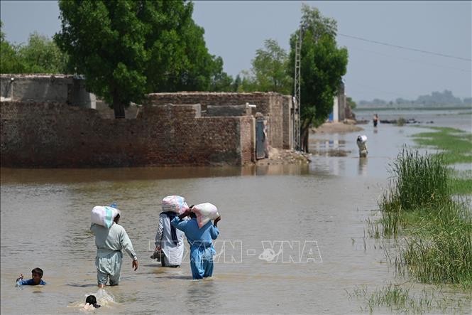 Foto de ilustración. (Fuente: AFP/VNA)