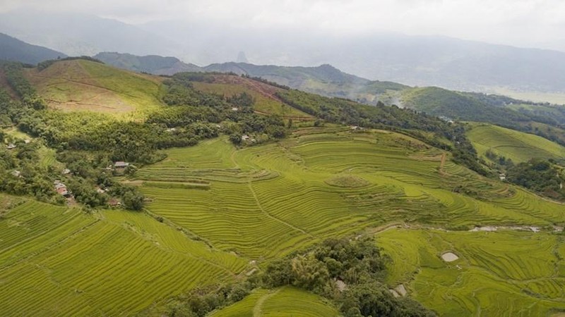 Los campos en forma de terrazas se extienden desde la cima hasta el pie de la colina, creando un paisaje majestuoso. (Fotografía: VNA)