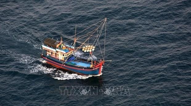 Página web tailandesa alaba combate de Vietnam contra la pesca ilegal. (Fotografía: VNA)