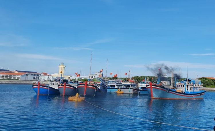 Provincia vietnamita toma medidas concertadas para prevenir pesca ilegal. (Fotografía: thuysanvietnam.com.vn)