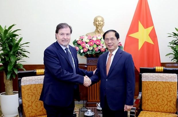 El canciller de Vietnam, Bui Thanh Son, recibe a Alex Wetzig Abdale, secretario general de Política Exterior del Ministerio de Relaciones Exteriores de Chile. (Fotografía: VNA)