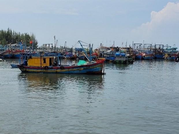 Vietnam refuerza el control de pesqueros para prevenir la pesca ilegal. (Fotografía: VNA)
