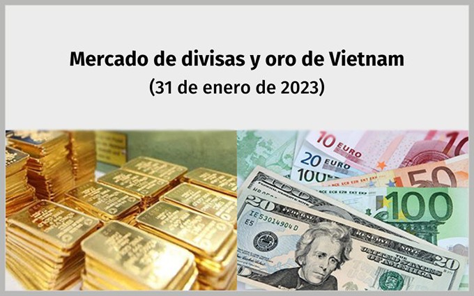 Infografía: Mercado de divisas y oro de Vietnam - 31 de enero de 2023