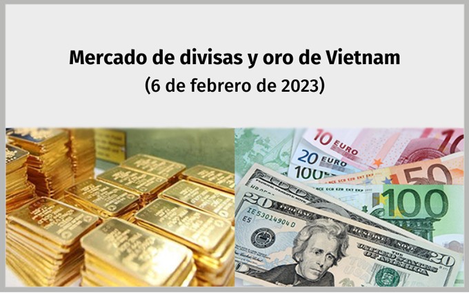 Infografía: Mercado de divisas y oro de Vietnam - 6 de febrero de 2023