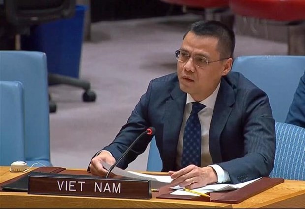 El embajador Dang Hoang Giang, jefe de la delegación vietnamita ante las Naciones Unidas. (Fotografía: VNA)