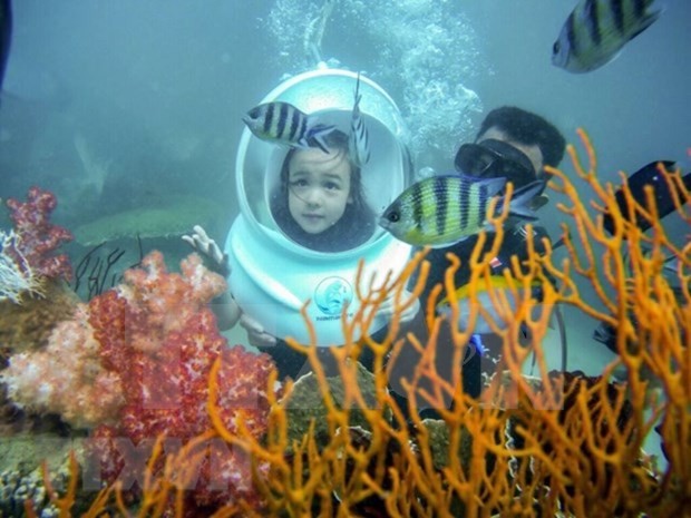 Buceo en las playas de Phu Quoc, provincia de Khanh Hoa. (Fotografía: VNA)