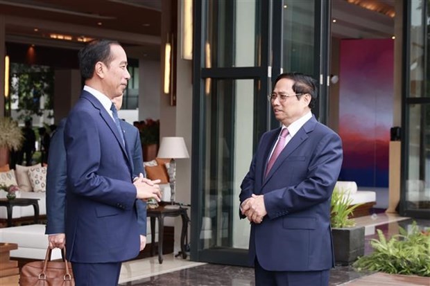 El primer ministro de Vietnam, Pham Minh Chinh (derecha), y el presidente de Indonesia, Joko Widodo. (Fotografía: VNA)