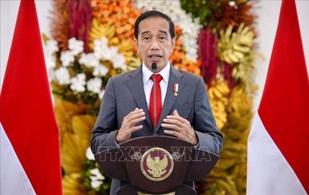 El presidente de Indonesia, Joko Widodo. (Fotografía: AFP/VNA)