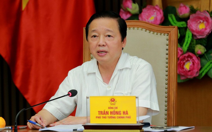 El vicepremier Tran Hong Ha habla en la reunión. (Fotografía: VGP)