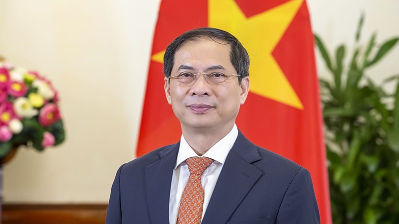 El ministro de Relaciones Exteriores de Vietnam, Bui Thanh Son. (Fotografía: Cancillería de Vietnam)