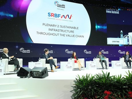 Una sesión del SRBF en 2022. (Fotografía: hanoimoi.com.vn)