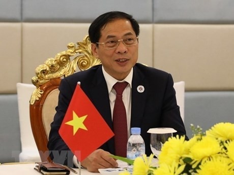 El ministro de Relaciones Exteriores de Vietnam, Bui Thanh Son. (Fotografía: VNA)
