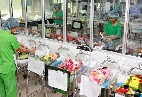 Atención a bebés recién nacidos en el Hospital Central de Maternidad, en Hanói. (Fotografía: VNA)