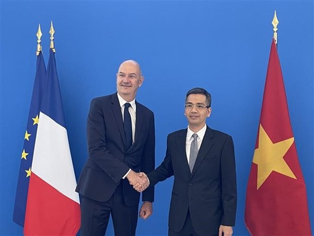 El ministro delegado encargado de Industria de Francia, Roland Lescure, y el viceministro vietnamita de Finanzas Vo Thanh Hung. (Fotografía: VNA)