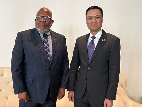 El jefe de la delegación permanente vietnamita ante las Naciones Unidas, Dang Hoang Giang (derecha), y el embajador Dennis Francis, presidente del 78 período de sesiones de la Asamblea General de la mayor organización mundial. (Fotografía: VNA)