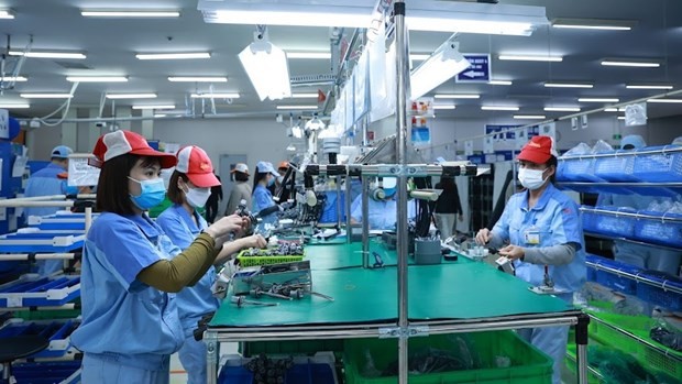 Se esperan señales positivas para la exportación de productos vietnamitas. (Fotografía: laodong.vn)