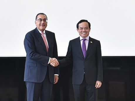 El vice primer ministro vietnamita Tran Luu Quang (derecha) saluda al primer ministro de Egipto, Mostafa Madbouly. (Fotografía: VGP)
