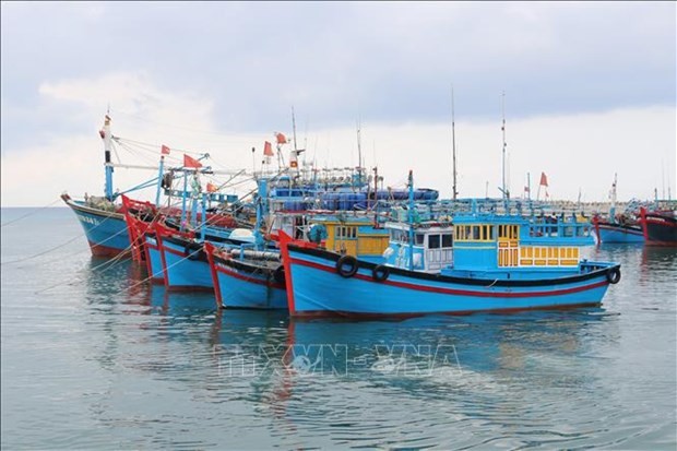 Los barcos de pesca en alta mar están anclados en el puerto pesquero de My Tan en la comuna de Thanh Hai (distrito de Ninh Hai, Ninh Thuan). (Fotografía: VNA)