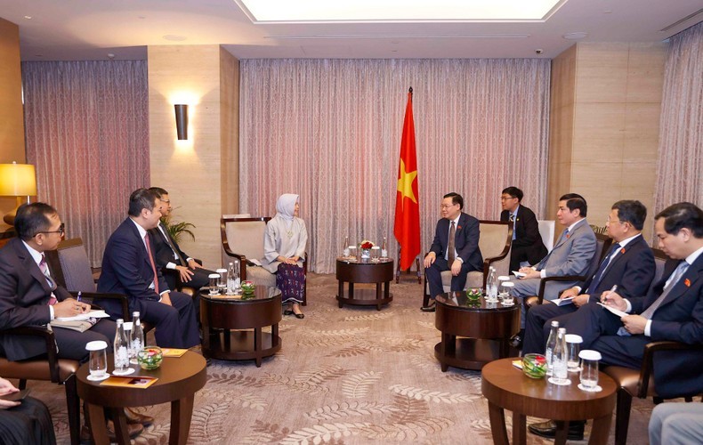 El presidente de la Asamblea Nacional de Vietnam, Vuong Dinh Hue, se reúne con la titular de la Junta de Auditoría de Indonesia, Isma Yatun. (Fotografía: VNA)