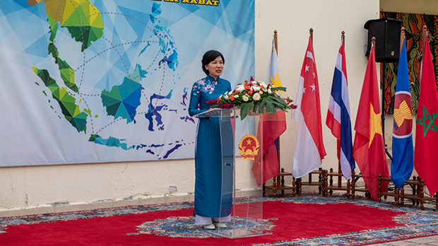 La embajadora Dang Thi Thu Ha. (Fotografía: Nhan Dan)