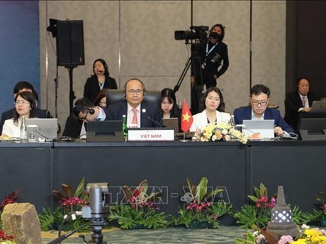 Delegación de Vietnam participa en la 12 Consulta AEM-Canadá. (Fotografía: VNA)
