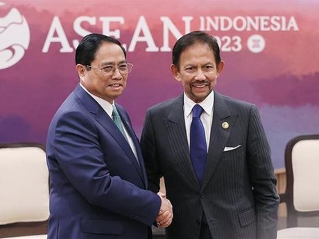 El primer ministro de Vietnam, Pham Minh Chinh, se reúne con el sultán de Brunéi, Darussalam Sultan Haji Hassanal Bolkiah. (Fotografía: VNA)