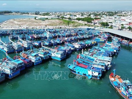 Barcos pesqueros en el puerto de My Tan en la comuna de Thanh Hai, distrito de Ninh Hai, provincia central de Ninh Thuan. (Fotografía: VNA)